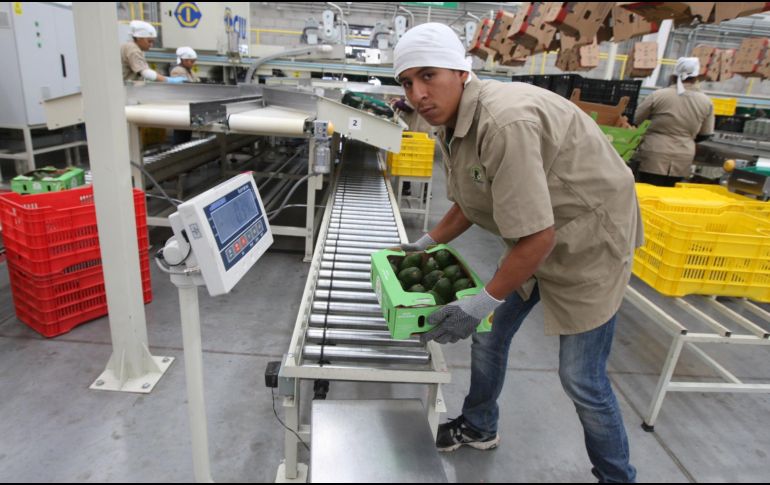 De acuerdo con las estructuras arancelarias de la OMC, las exportaciones estadounidenses serían las más afectadas. EL INFORMADOR/Archivo.