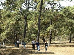 Esta plataforma tiene la facultad de promover y emitir recomendaciones a pedido o por iniciativa propia, a las instituciones de gobierno en sus diferentes ámbitos. EL INFORMADOR/ARCHIVO