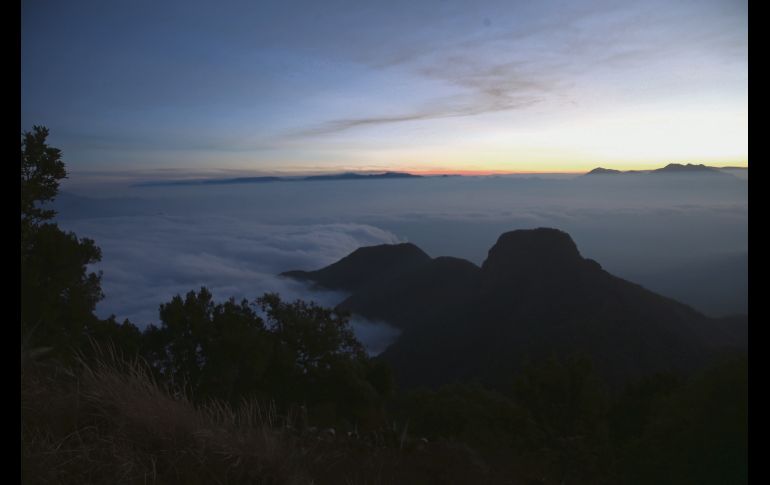 RECOMPENSA. La satisfacción de alcanzar el objetivo. EL INFORMADOR / M. Vargas