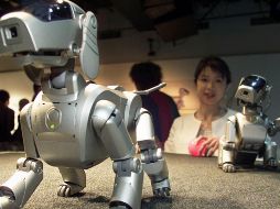 El androide tendrá aspecto de mascota, inteligencia artificial y conectividad a internet. EFE/Archivo