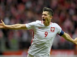 Para la licenciatura en Entrenamiento y Dirección del Deporte, el delantero ha recibido tres cinco, es decir, la mejor nota prevista en el sistema escolar polaco. AFP / J. Skarzynski