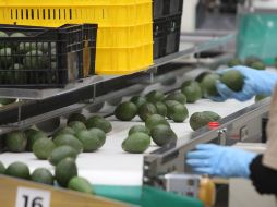 A pesar de la incertidumbre relacionada con la renegociación del TLCAN, el crecimiento para México fue revisado al alza desde la publicación del reporte Proyecciones Económicas Mundiales de abril pasado. EL INFORMADOR / ARCHIVO