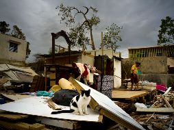 El huracán destrozó la red eléctrica de toda la isla y provocó daños generalizados en casas e infraestructuras. AP/R. Espinosa