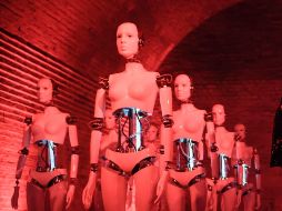 El mundo en imágenes del 11 de octubre de 2017