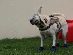 Lanzan petición para limitar imagen de “Frida”