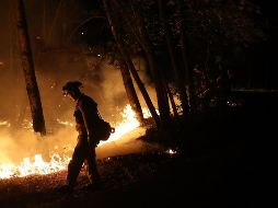 Al menos 31 muertos y más de 400 desaparecidos han provocado, hasta ahora, los 21 incendios activos en California. AFP / J. Sullivan