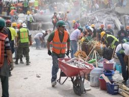 El Sismológico Nacional señala que hasta el momento no se cuentan con técnicas científicas en el mundo que prevengan un sismo. SUN / ARCHIVO