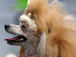 El mundo en imágenes del 13 de octubre de 2017