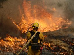 El jefe de los bomberos de California dijo que más de nueve mil efectivos estaban combatiendo los 17 grandes incendios. AP / M. Sanchez