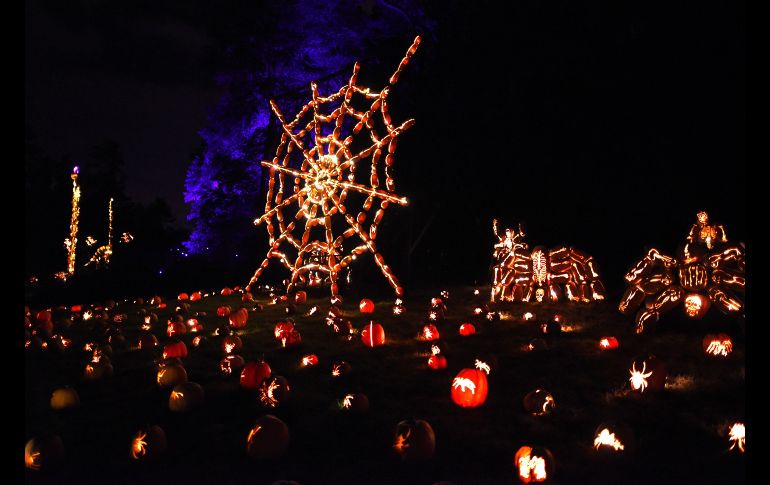 Calabazas con luces se muestran en 