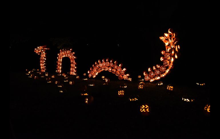 En forma de dragón. AFP/T. A. Clary