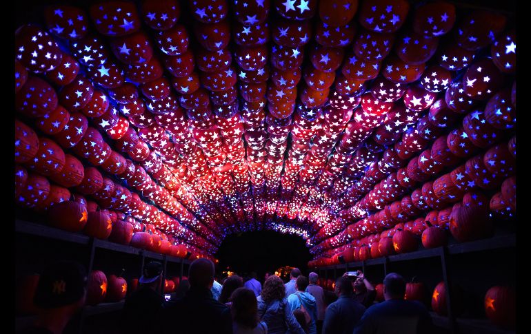 Más de siete mil calabazas talladas a mano forman parte de la exhibición. AFP/T. A. Clary
