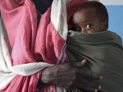 La FAO celebra este lunes el Día Mundial de la Alimentación para conmemorar la fundación de esta organización internacional, en 1945. EFE / ARCHIVO