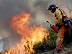 Cerca de tres mil bomberos trabajaron en Portugal para intentar apagar los siniestros, pero más de una treintena de focos 