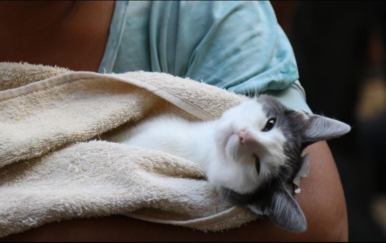 ESPECIAL/ Ayuntamiento de Tlajomulco