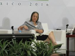 Entre los ponentes del ELIS destaca la vicepresidenta del Banco Interamericano de Desarrollo, Julie T. Katzman. NOTIMEX/Archivo