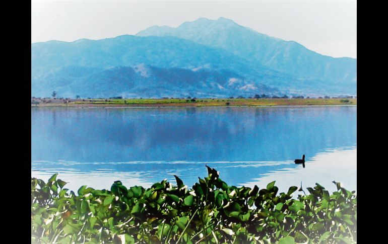 NATURALEZA. Se respira tranquilidad. EL INFORMADOR / P. Somellera