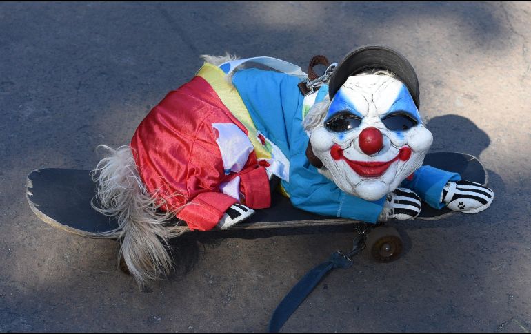 El perrito no se quedó atrás y luce como un payaso tenebroso. AFP/T. Clary