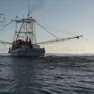 La Profepa asegura barco camaronero por pesca irregular en Tamaulipas