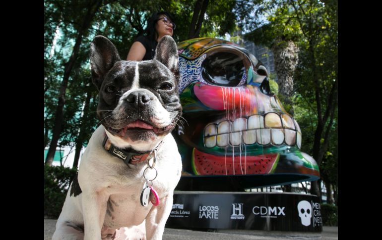 La exposición celebra la grandeza y diversidad del país, a través del arte y la visión de cada uno de los artistas. NTX/A. Monroy