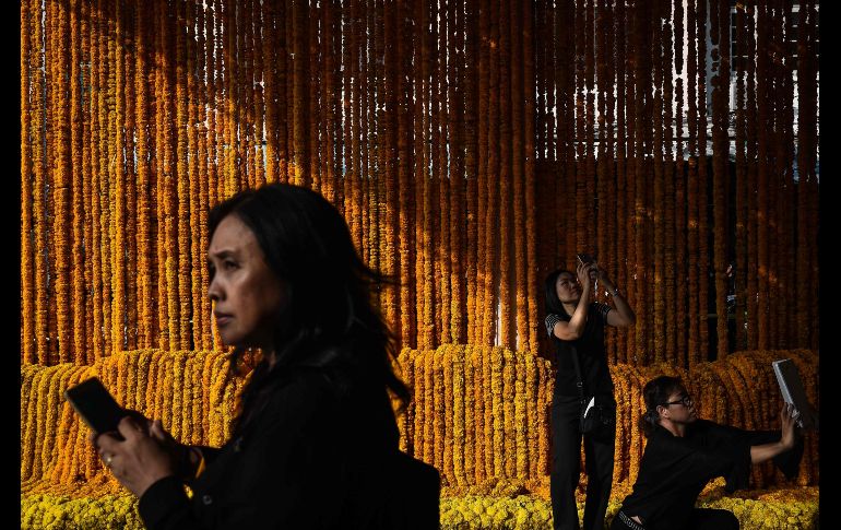 Personas toman fotos de arreglos florales realizados en honor del fallecido rey Bhumibol Adulyadej, en un mercado de flores en Bangkok. El reino tailandés se prepara para la ceremonia de cremación de Adulyadej. AFP/L. Suwanrumpha