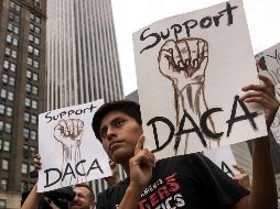 El DACA ha brindado protección a cerca de 800 mil personas, muchas de las cuales actualmente estudian la universidad. AFP / ARCHIVO