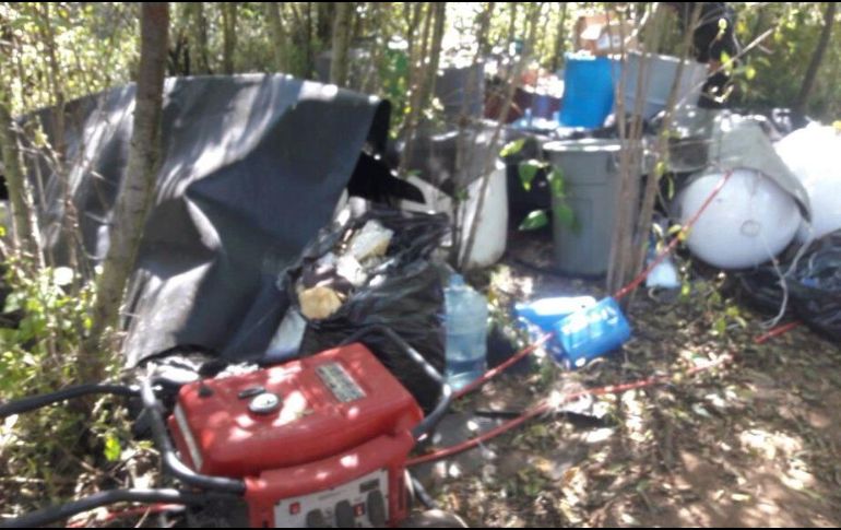 Tras asegurar el predio, las fuerzas federales y estatales destruyeron el 