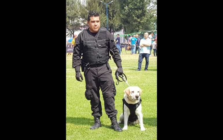 Los elementos caninos estaban asignados a trabajos de detección de drogas y explosivos. EL INFORMADOR/R. Rivas