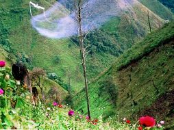 Se estima que con esas intervenciones, la Policía Federal frenó la producción de más de 735 kilos de heroína pura. AFP / ARCHIVO