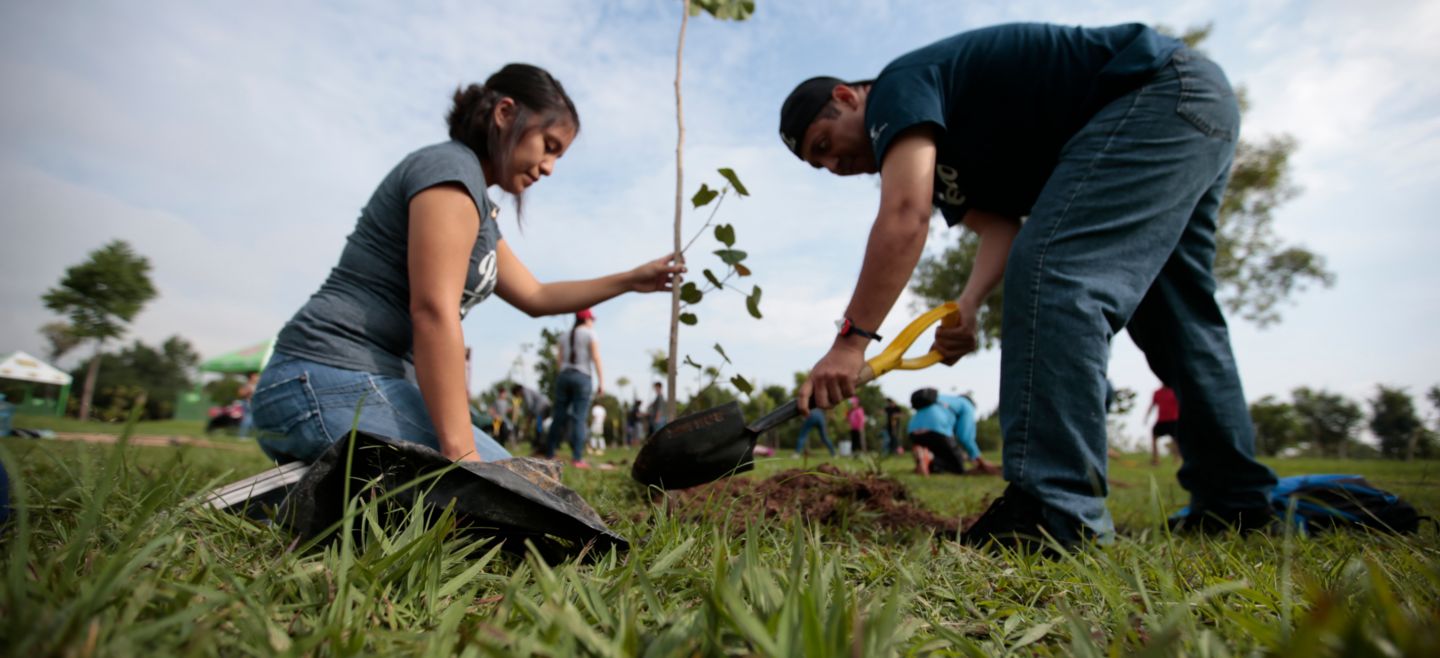 EXTRA AC, EXTRA, REFORESTACION, ARBOLES, PARQUE METROPOLITANO, - 20170805..LOC..ACTIVIDADES DE EXTRA AC, REFORESTACION EN EL PARQUE METROPOLITANO, ZAPOPAN, JALISCO. 05 DE AGOSTO, 2017...FAO015