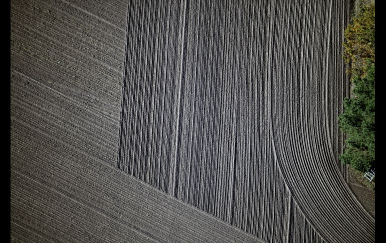 Un campo cultivado fotografiado desde una aeronave en Trebbin, Alemania. AP/DPA/R. Hirschberger