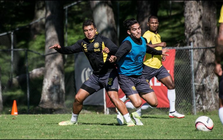 Los 13 puntos que tiene Leones no son los que se había planeado por la plantilla, pero aceptan que en el inicio del torneo todo se complicó. FACEBOOK / Leones Negros Universidad de Guadalajara