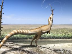 Los científicos realizaron una representación gráfica del icónico Sinosauropteryx de China. ESPECIAL / Universidad de Bristol / R. Nicholls