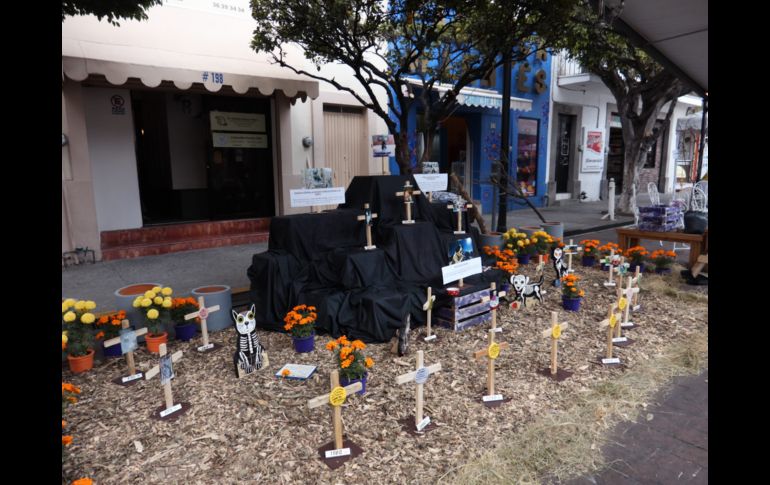 Hasta el 5 de noviembre se extiende el festival.