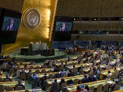 A través de su portavoz, Guterres transmitió también sus condolencias a las familias de las víctimas. EFE/ C. Park