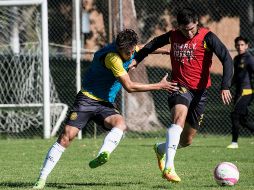 Leones Negros aspira a un milagro para poder clasificar a la Liguilla en el Ascenso MX. FACEBOOK/leonesnegrosudegoficial.