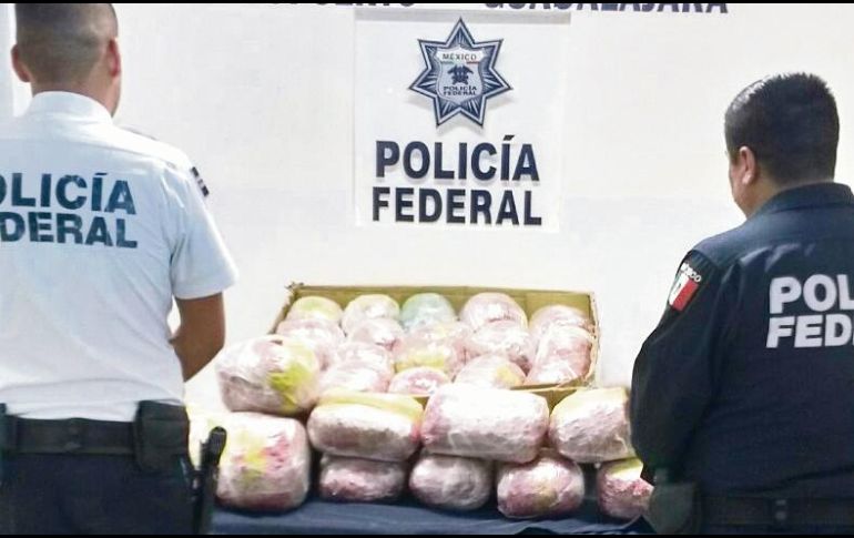 El hallazgo fue una labor conjunta de la PF y la División de Seguridad Regional. ESPECIAL