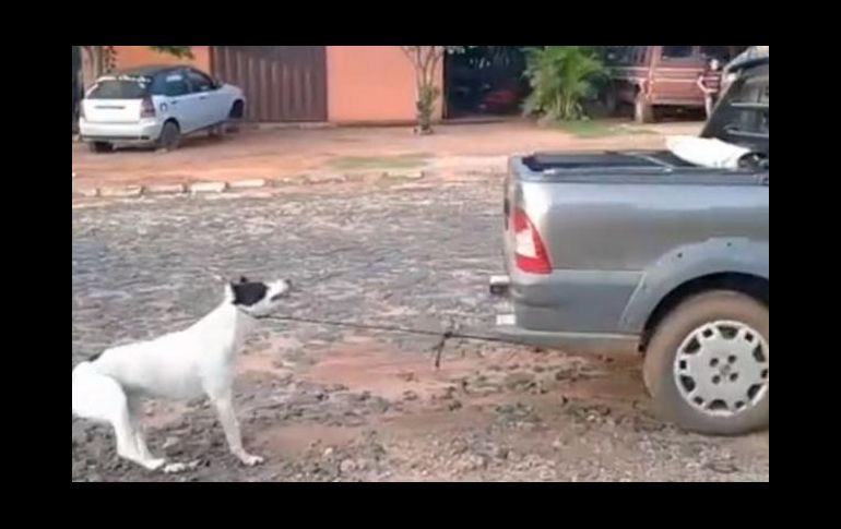 Las dos imputadas son la madre y la abuela de una menor que supuestamente fue mordida por el perro. Facebook/Paraguaype
