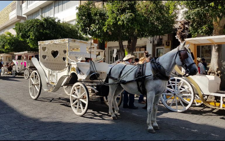 El próximo lunes habrá una mesa de diálogo entre los calandrieros. EL INFORMADOR / R. Bobadilla