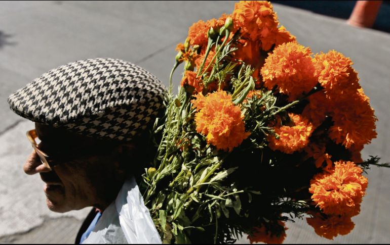 Se ha convertido en un referente que no conoce generaciones. EL INFORMADOR/ F.ATILANO