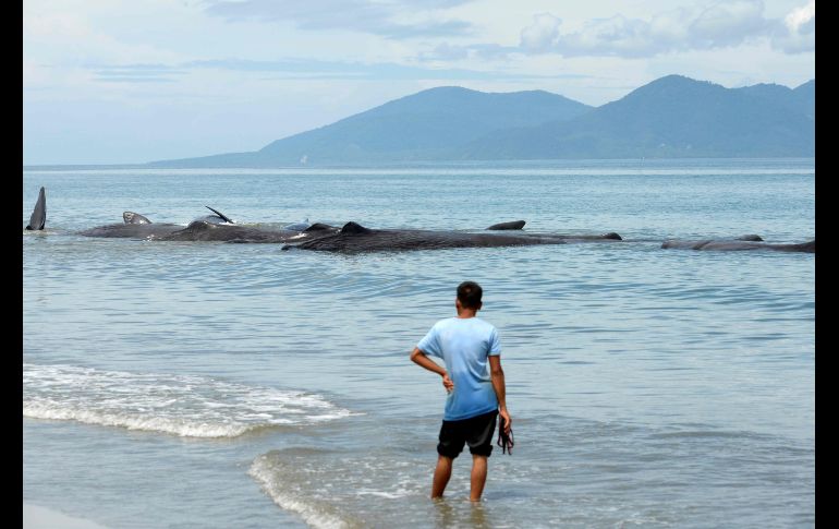 Un hombre observa el inusual espectáculo.