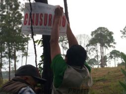 La Profepa encontró la afectación de vegetación de bosque de pino-encino en una superficie total de 58.5 hectáreas. TWITTER / @PROFEPA_Mx