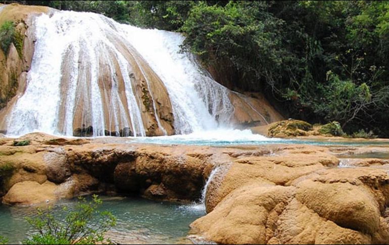 Expertos aseguran que el río sigue teniendo capacidad suficiente y no ha disminuido su afluencia. NTX/Especial