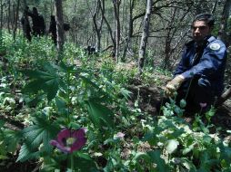 En los lugares se recaban muestras representativas, que son puestas a disposición del Ministerio Público de la Federación. NTX / ARCHIVO