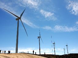 El uso de energía eólica puede representar un ahorro de entre 15 y 20 % en los costos de generación de electricidad. NOTIMEX/Archivo