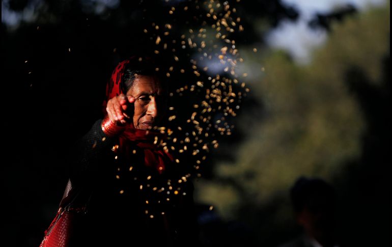 Una mujer arroja siete tipos de granos en el templo Pashupatinath de Katmandú, Nepal, durante el festival Bala Chaturdashi que recuerda a los familiares fallecidos. AP/N. Shrestha