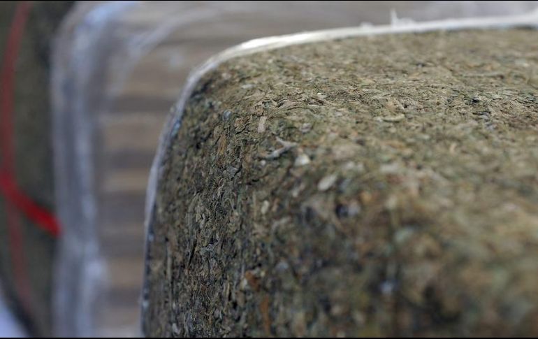 Todo lo asegurado es puesto a disposición de la Subprocuraduría de Control Regional, Procedimientos Penales y Amparo (SCRPPA). EFE / ARCHIVO