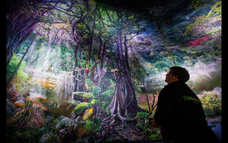 Una visitante observa a 