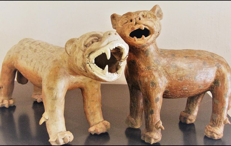 Obra. Un par de bellos ejemplares del dios jaguar. EL INFORMADOR/ P.Somellera