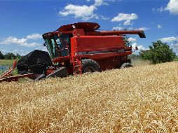 EU ha propuesto que las exportaciones agropecuarias sólo se hagan cuando en el otro país no es temporada de cosecha. AP/Archivo